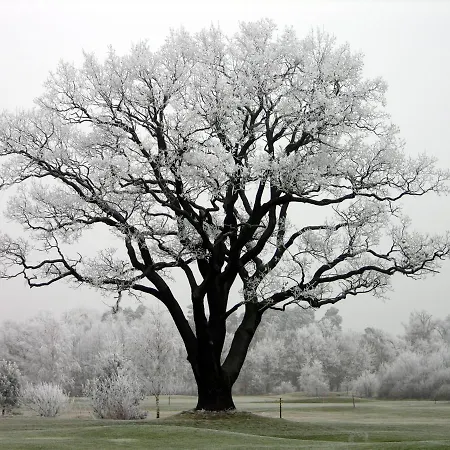 Golfresort Semlin Hotell