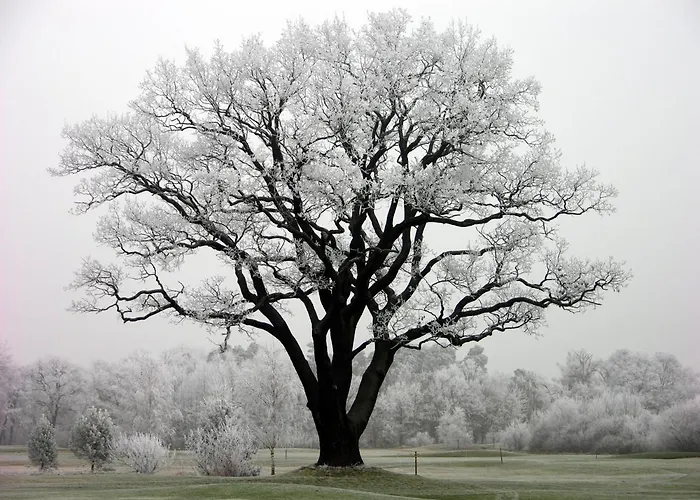 Golfresort Semlin Hotel